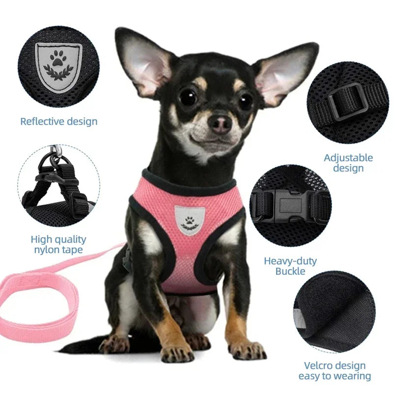 BMA-SHOP™ Reflective Cat Harness and Leash Set