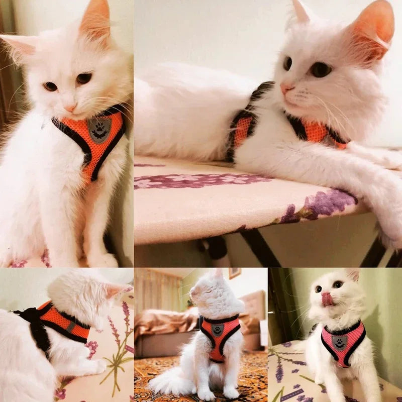 BMA-SHOP™ Reflective Cat Harness and Leash Set