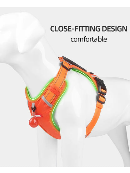 ROUNDER DOG HARNESS