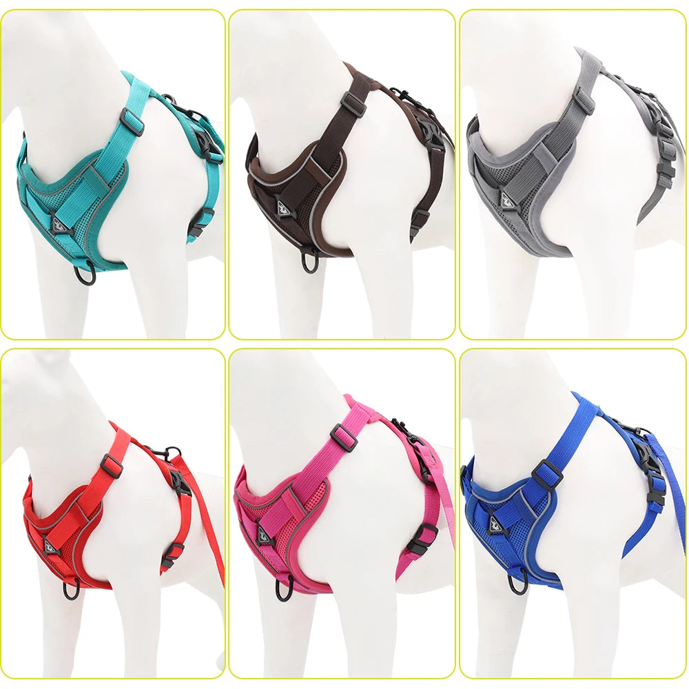 BMA-SHOP™ ROUNDER DOG HARNESS