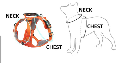 ROUNDER DOG HARNESS