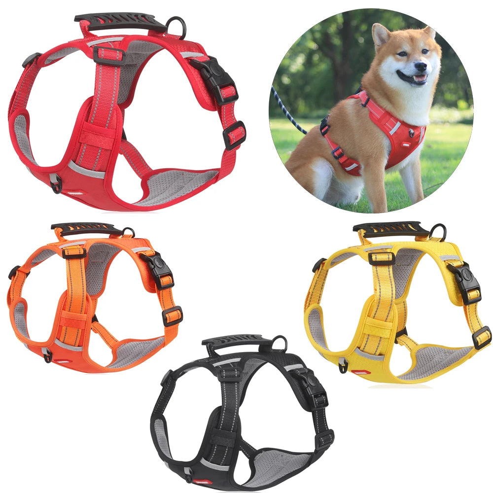 ROUNDER DOG HARNESS