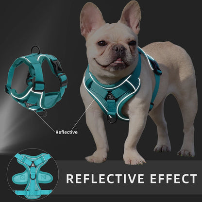 BMA-SHOP™ ROUNDER DOG HARNESS