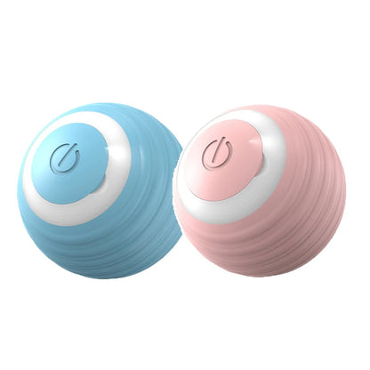 Active Rolling Ball Pet Toy