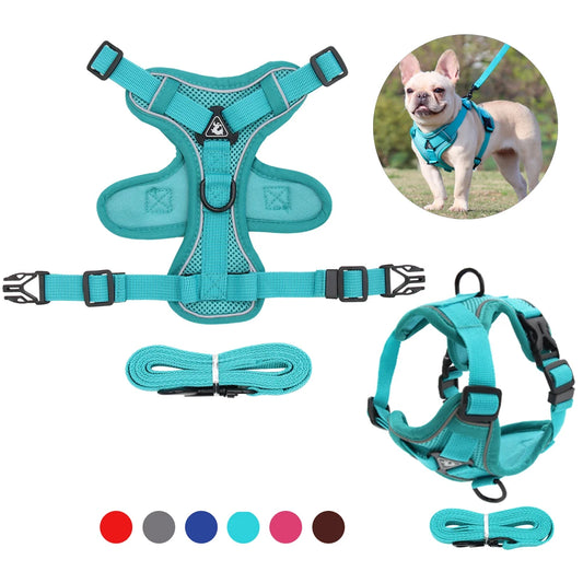 BMA-SHOP™ ROUNDER DOG HARNESS